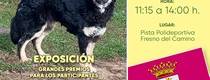 perro