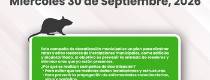 DESRATIZACION